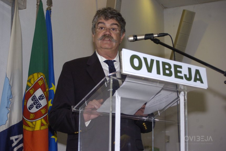 Ovibeja