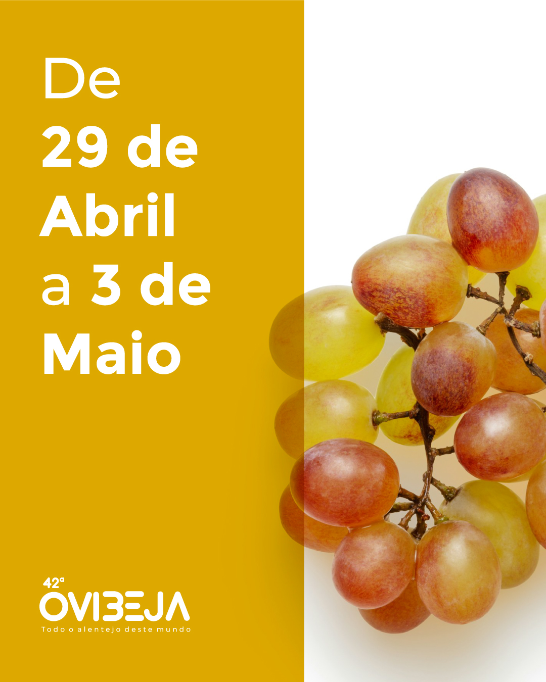42ª Ovibeja | 29 de abril a 3 de maio de 2026