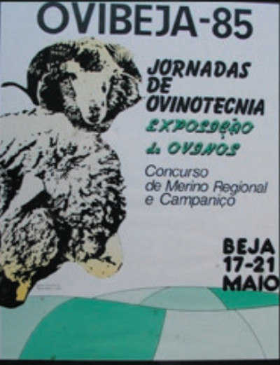 Ovibeja 1985